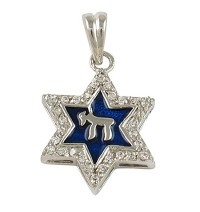 Chai Star of David Necklace